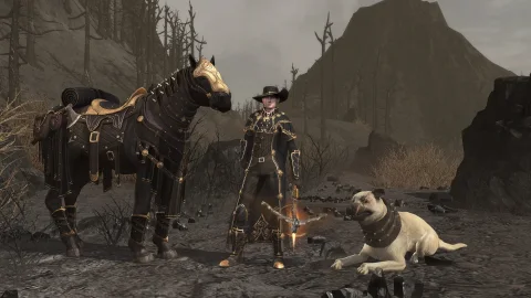 The Lord of the Rings Online screenshot 1