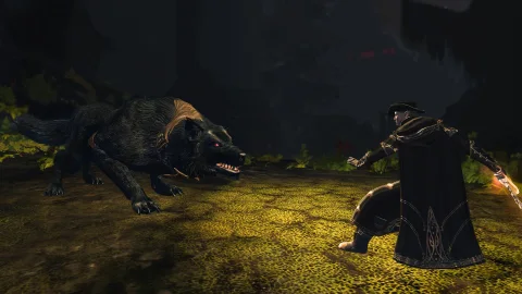The Lord of the Rings Online screenshot 2