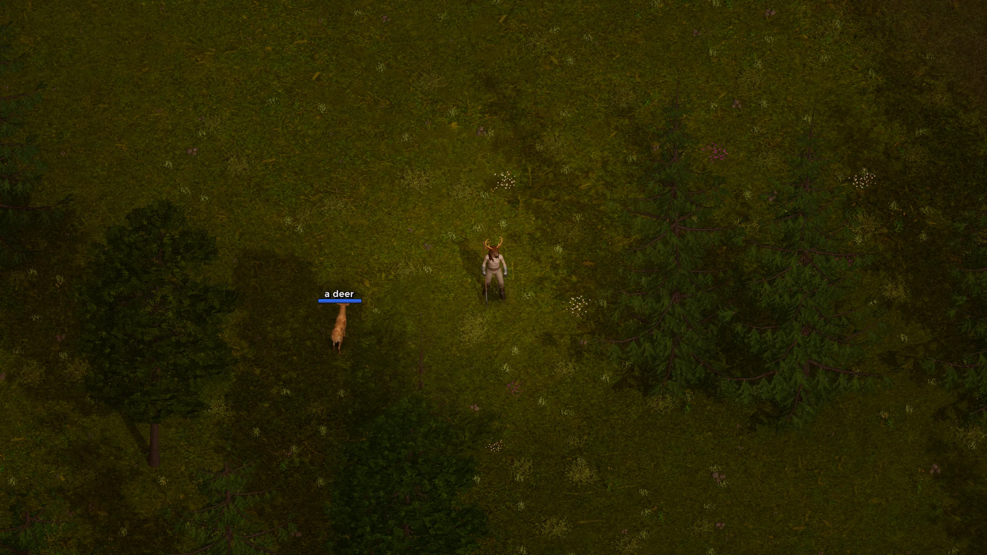 A deer in the forest